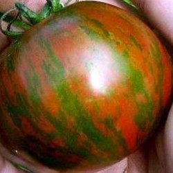 Tomato Black Zebra Cherry